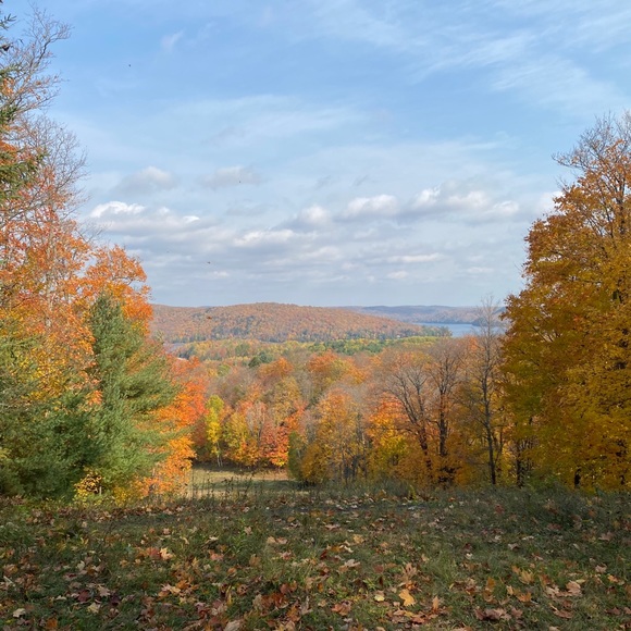 Meet your Posher, Melanie - Picture 1 of 1